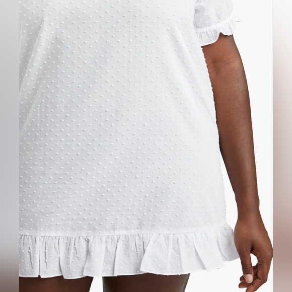 Hill House The Katherine Nap Dress In Sheer White Swiss Dot - Picture 7 of 9